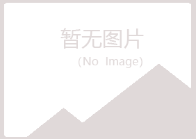 桂林雁山白山保险有限公司